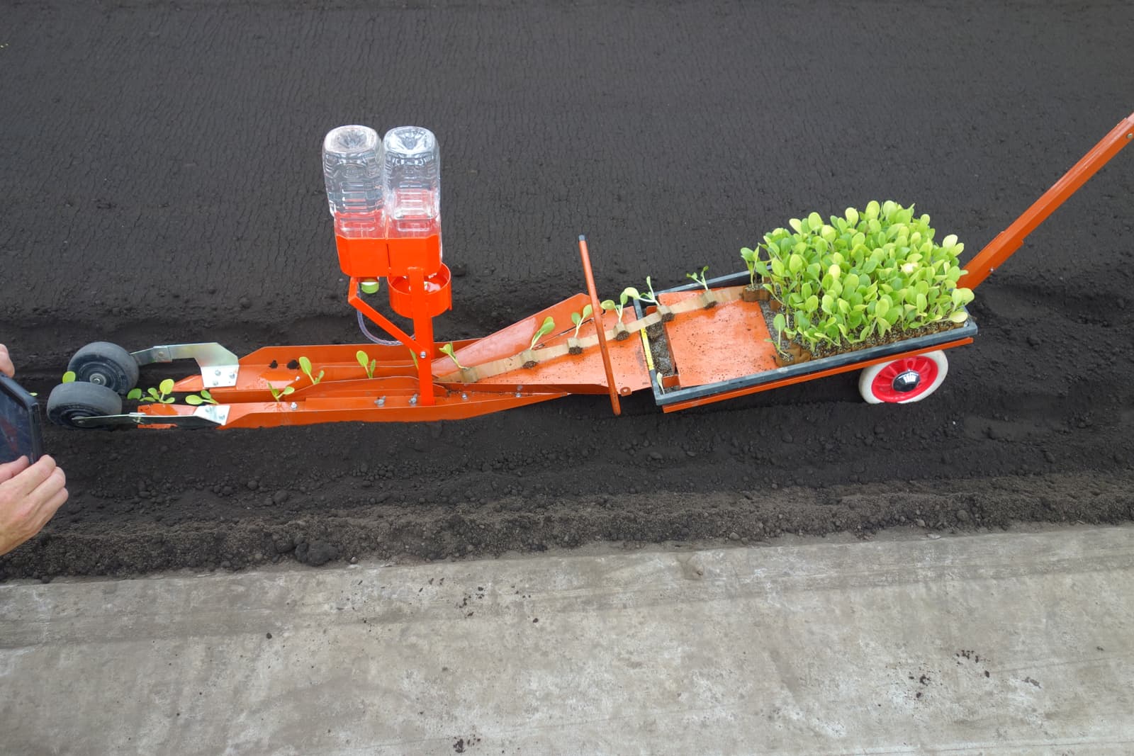 One person pulling the Chainpot hand transplanter down a planted bed of seedlings.